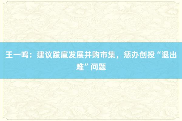 王一鸣：建议跋扈发展并购市集，惩办创投“退出难”问题